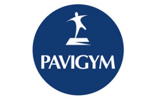 Rulifes.com: Logotipo Pavigym