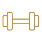 Rulifes.com Tecnologia Wellness Rulifes.com Tecnologia Wellness