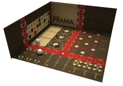 Productos: 3D Pavigym
